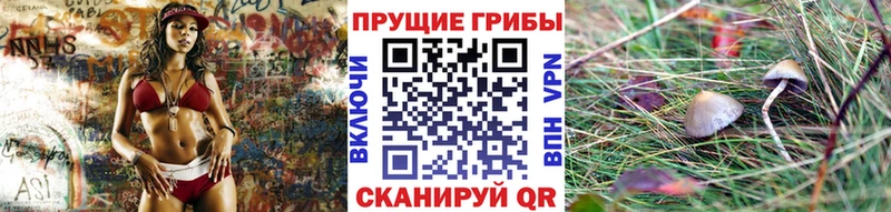 Галлюциногенные грибы мухоморы  цены   Славск 