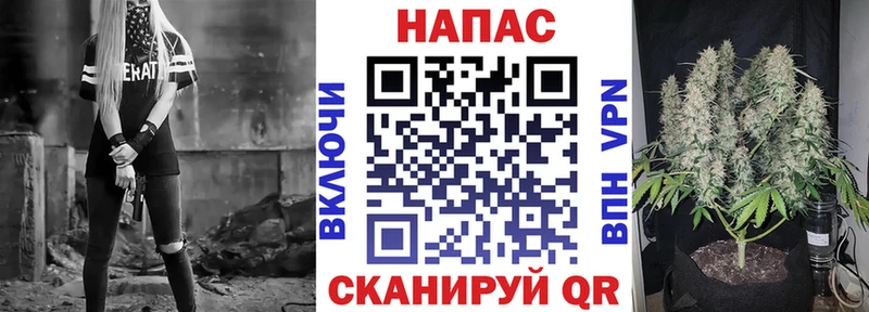 Бошки Шишки семена  Славск 